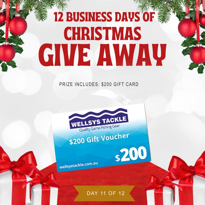 Christmas Giveaway - One World Courier. Wellseys Fishing Tackle $200 Voucher